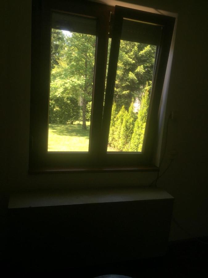 Vila Borovic Zlatibor Luaran gambar