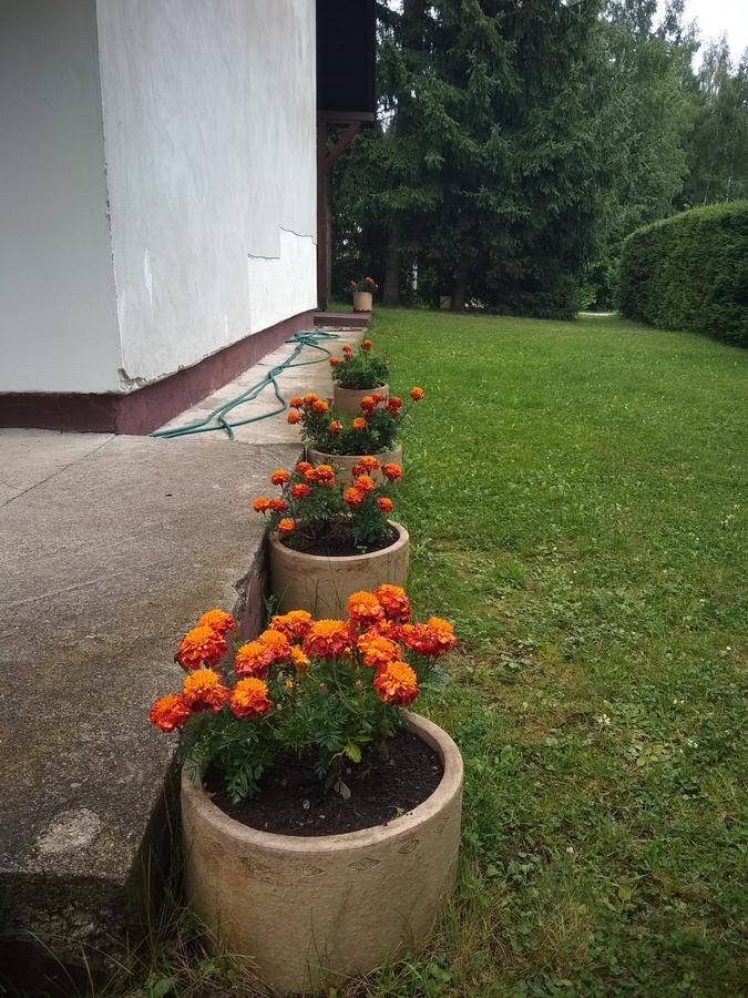 Vila Borovic Zlatibor Luaran gambar