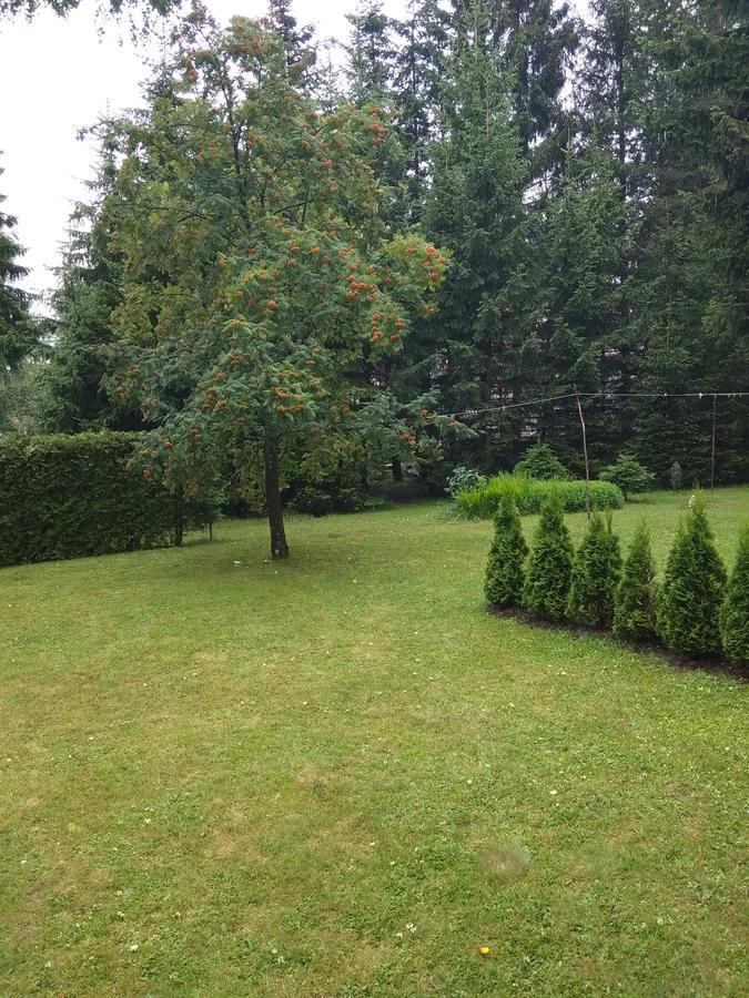 Vila Borovic Zlatibor Luaran gambar
